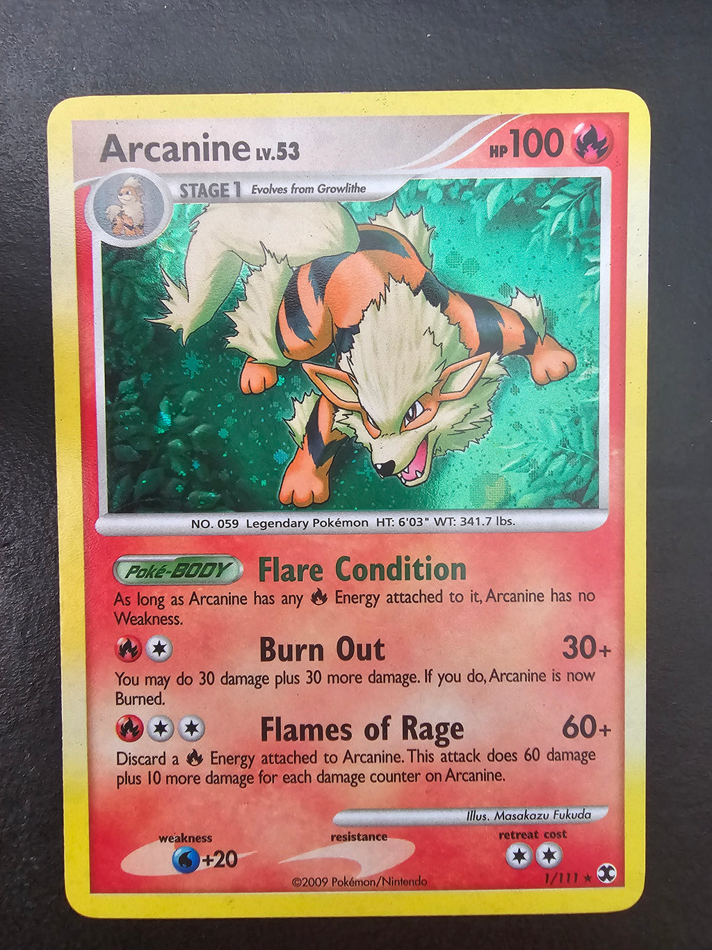 Rising Rivals Arcanine 1 - LP