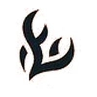 Pok&eacute;mon Flashfire set symbol