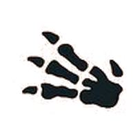 Pok&eacute;mon Fossil set symbol