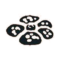Pok&eacute;mon Jungle set symbol